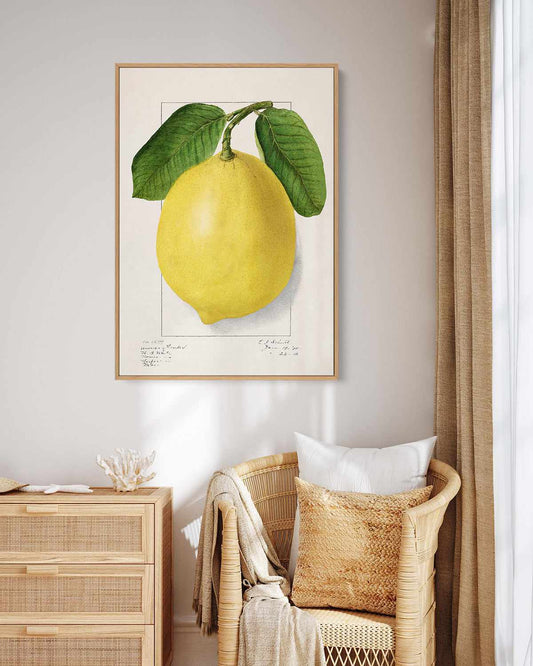 Bold Lemon Vintage Poster | Framed Canvas Art Print