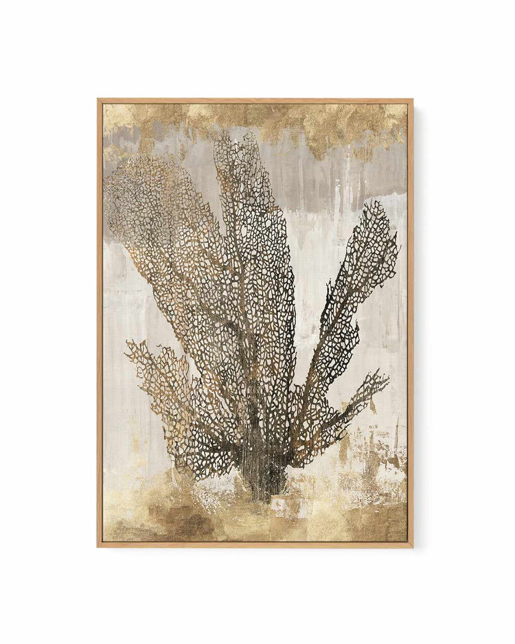 Coral Splendour I | Framed Canvas Art Print