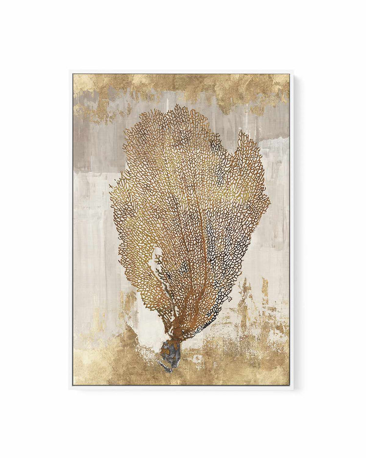 Coral Splendour III | Framed Canvas Art Print