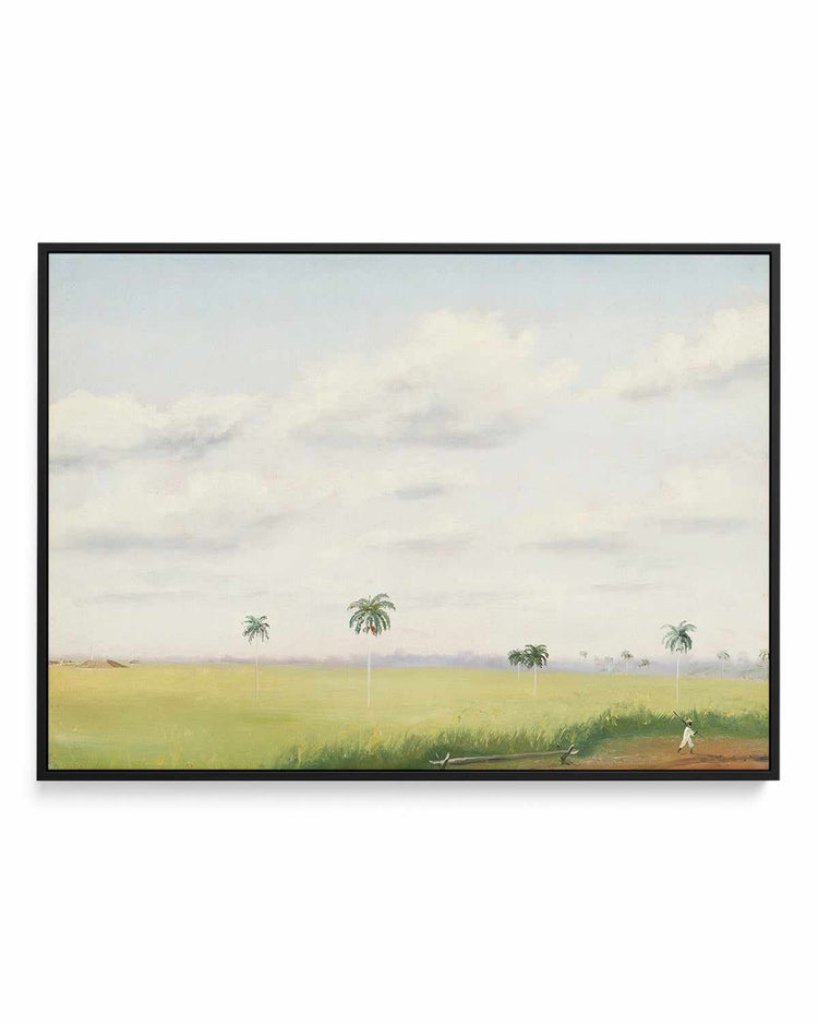 Cuban Farmer Vintage Painting | Framed Canvas Art Print