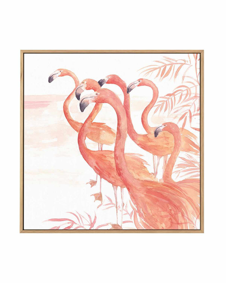 Flamingo Group I | Framed Canvas Art Print