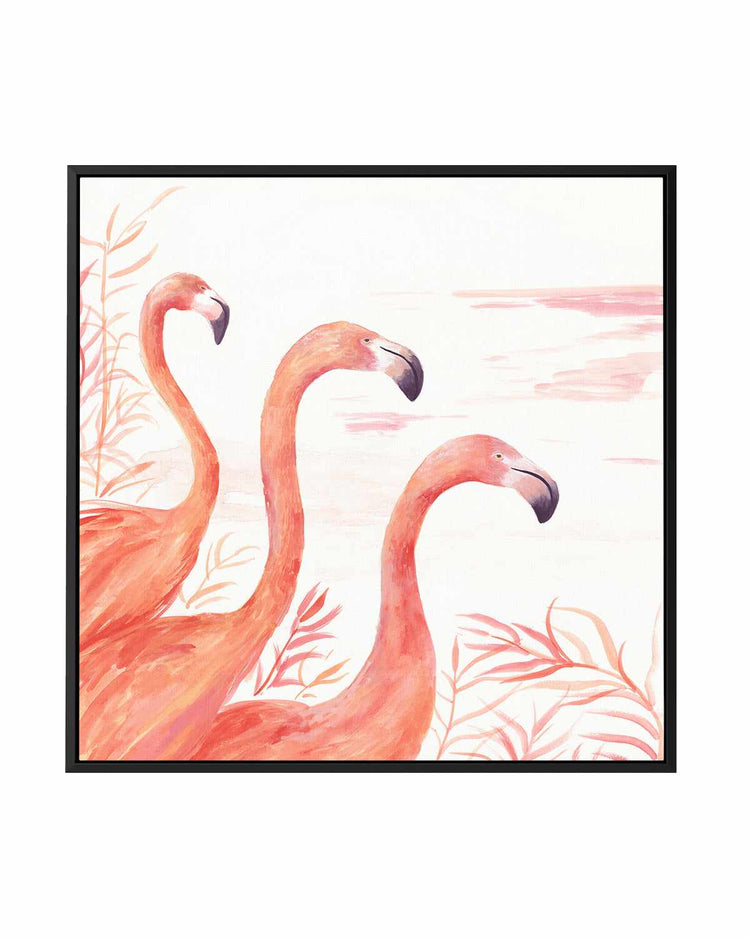 Flamingo Group II | Framed Canvas Art Print