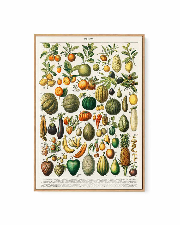 Fruit Chart Vintage Poster | Framed Canvas Art Print