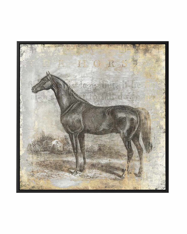 Gold Stallion I | Framed Canvas Art Print