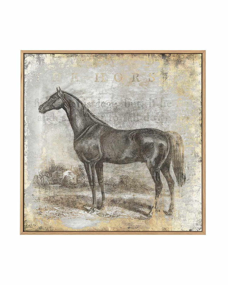 Gold Stallion I | Framed Canvas Art Print