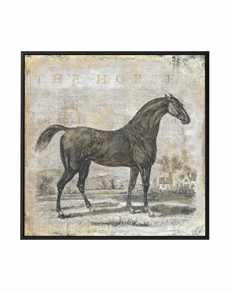 Gold Stallion II | Framed Canvas Art Print