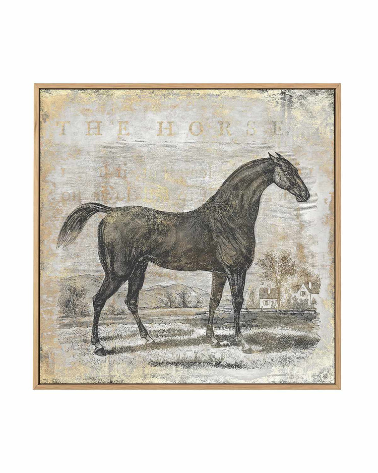 Gold Stallion II | Framed Canvas Art Print