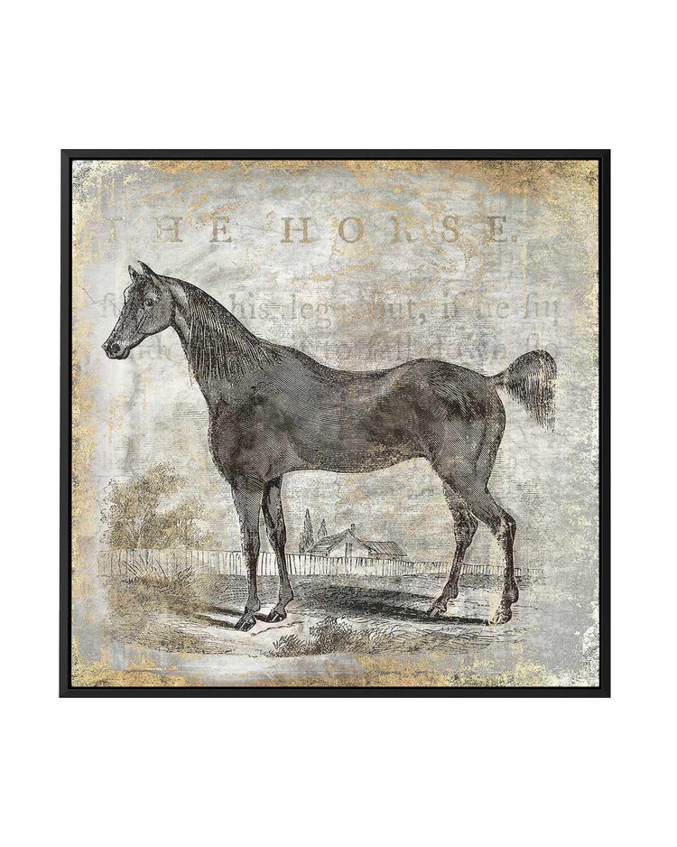 Gold Stallion III | Framed Canvas Art Print