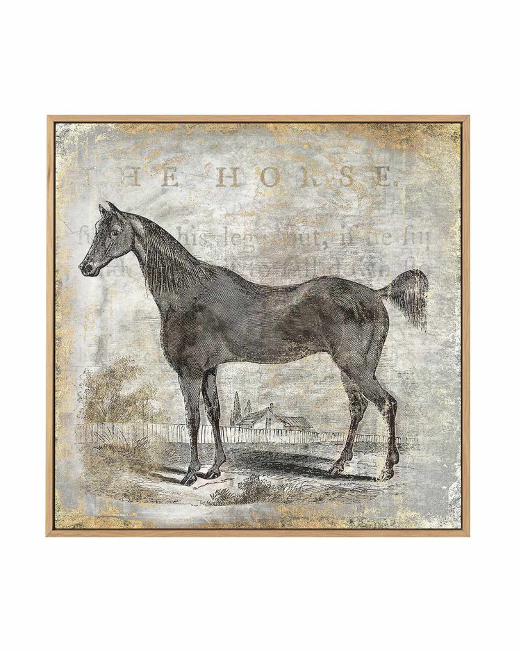 Gold Stallion III | Framed Canvas Art Print