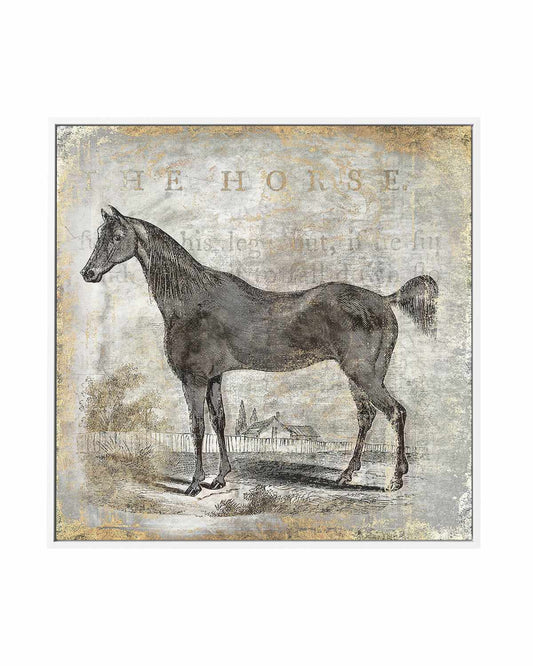 Gold Stallion III | Framed Canvas Art Print