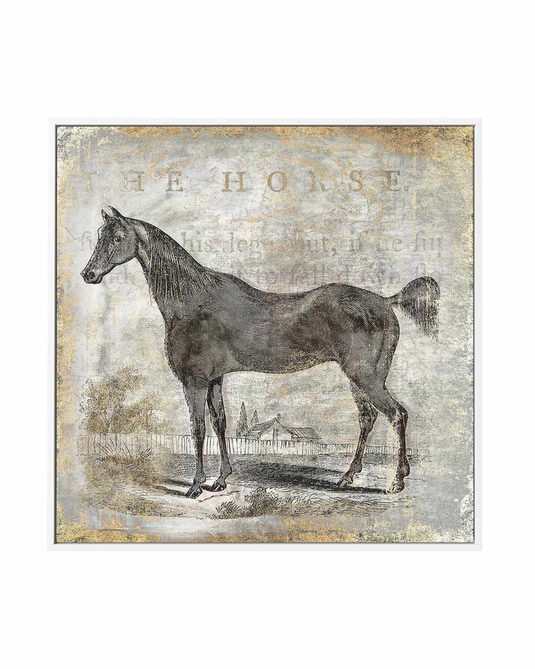 Gold Stallion III | Framed Canvas Art Print
