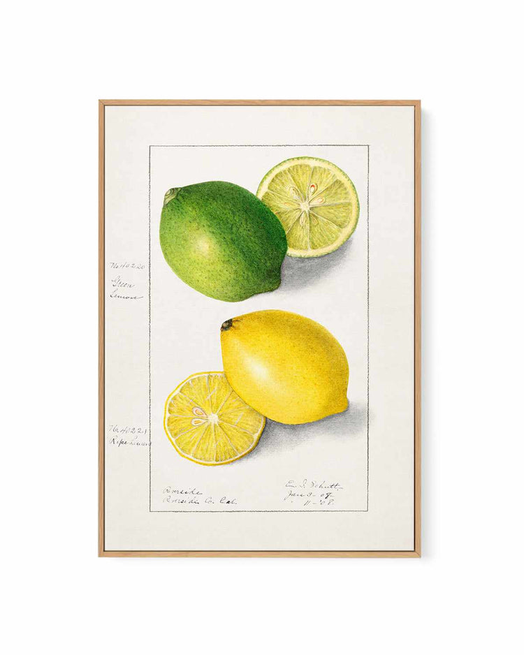 Lemon & Lime Vintage Poster | Framed Canvas Art Print