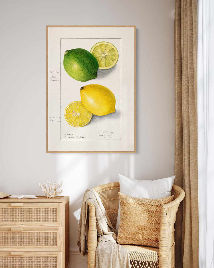 Lemon & Lime Vintage Poster | Framed Canvas Art Print