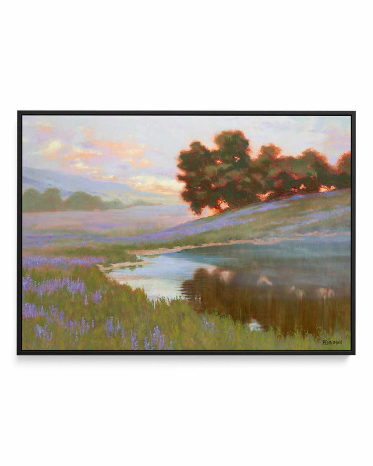 Pastel Lupin by Ed Penniman | Framed Canvas Art Print