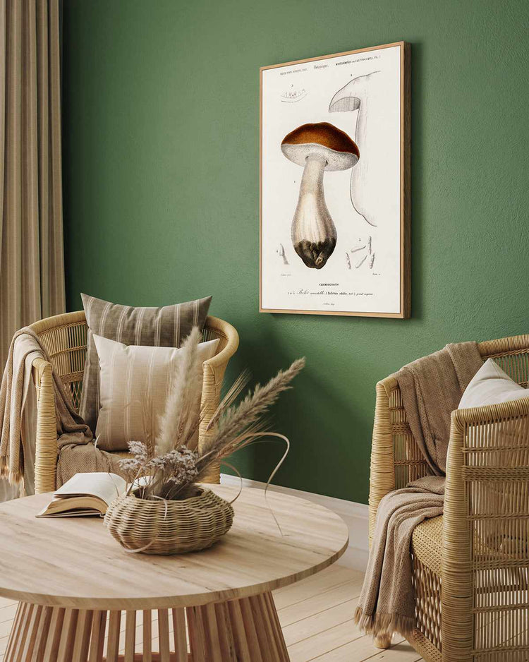 Penny Bun Vintage Mushroom Illustration | Framed Canvas Art Print