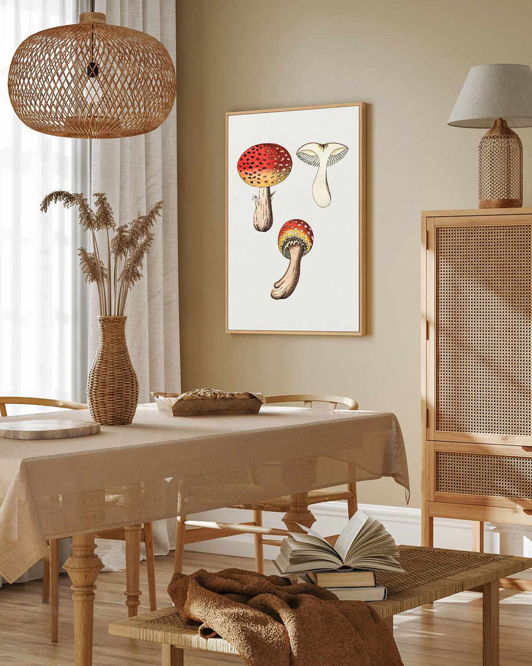 Red Mushroom Vintage Illustration | Framed Canvas Art Print