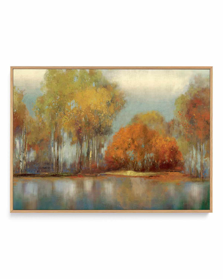 Autumn Forest | Framed Canvas Art Print