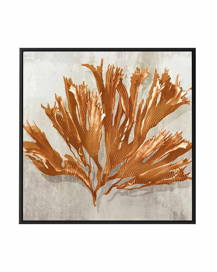 Rustic Coral I | Framed Canvas Art Print