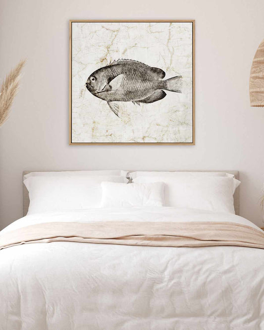 Vintage Fish II | Framed Canvas Art Print