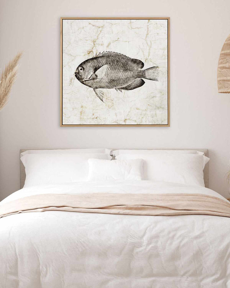 Vintage Fish II | Framed Canvas Art Print
