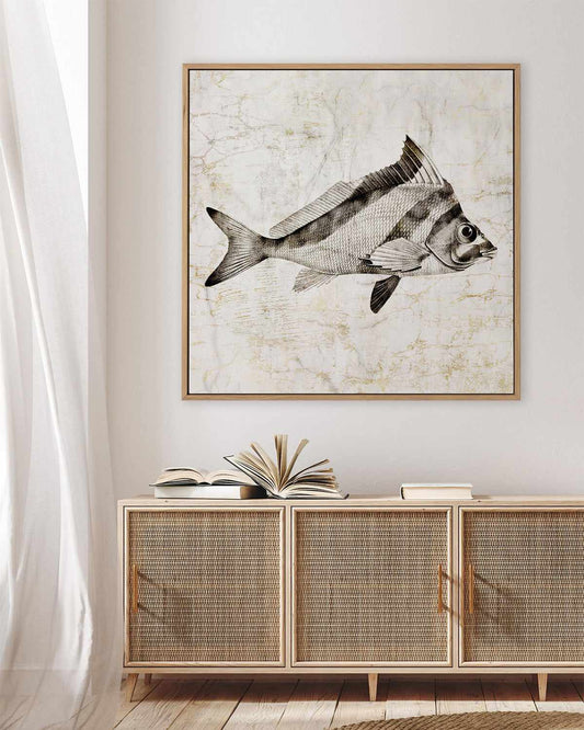 Vintage Fish III | Framed Canvas Art Print