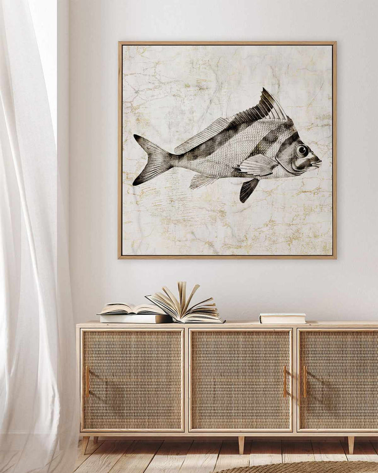 Vintage Fish III | Framed Canvas Art Print