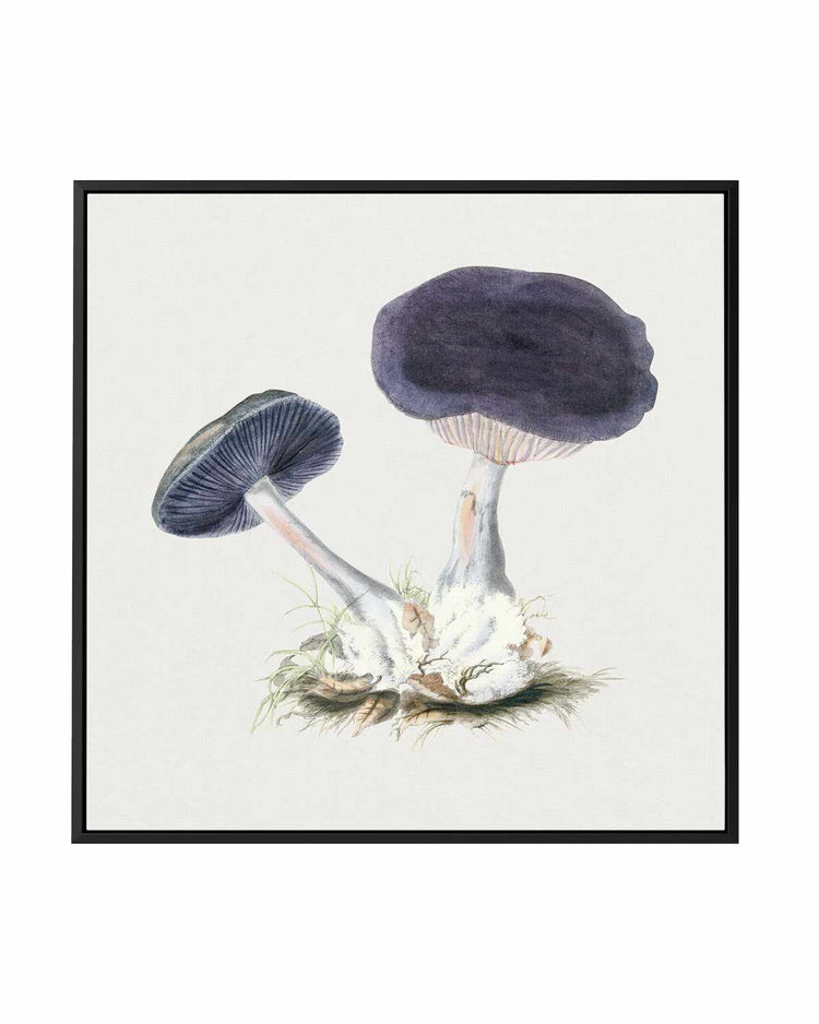 Violet Mushroom Vintage Illustration | Framed Canvas Art Print