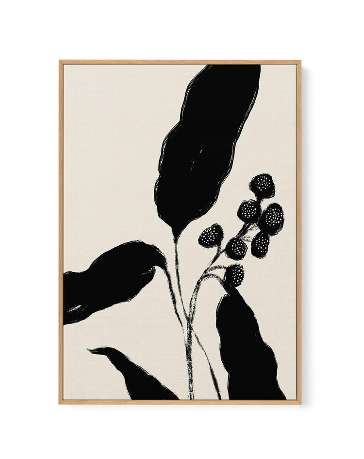 Botanical Form | Framed Canvas-CANVAS-You can shop wall art online with CANVAS Art Print Co for everything from abstract art to fun kids wall art. Our beautiful modern art prints and canvas art are available from large canvas prints to wall art paintings and our proudly Australian artwork collection offers only the highest quality framed large wall art and canvas art Australia - You can buy fashion photography prints or Hampton print posters and paintings on canvas from CANVAS Art Print Co and have them d