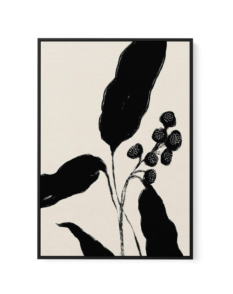 Botanical Form | Framed Canvas-CANVAS-You can shop wall art online with CANVAS Art Print Co for everything from abstract art to fun kids wall art. Our beautiful modern art prints and canvas art are available from large canvas prints to wall art paintings and our proudly Australian artwork collection offers only the highest quality framed large wall art and canvas art Australia - You can buy fashion photography prints or Hampton print posters and paintings on canvas from CANVAS Art Print Co and have them d