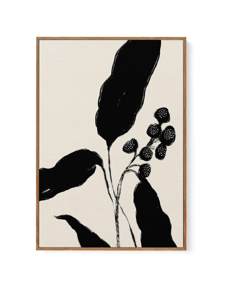 Botanical Form | Framed Canvas-CANVAS-You can shop wall art online with CANVAS Art Print Co for everything from abstract art to fun kids wall art. Our beautiful modern art prints and canvas art are available from large canvas prints to wall art paintings and our proudly Australian artwork collection offers only the highest quality framed large wall art and canvas art Australia - You can buy fashion photography prints or Hampton print posters and paintings on canvas from CANVAS Art Print Co and have them d