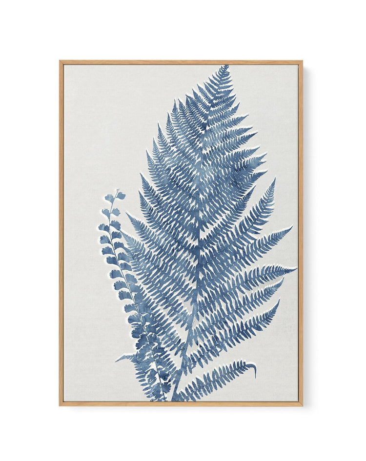 Fern I | Framed Canvas-CANVAS-You can shop wall art online with CANVAS Art Print Co for everything from abstract art to fun kids wall art. Our beautiful modern art prints and canvas art are available from large canvas prints to wall art paintings and our proudly Australian artwork collection offers only the highest quality framed large wall art and canvas art Australia - You can buy fashion photography prints or Hampton print posters and paintings on canvas from CANVAS Art Print Co and have them delivered
