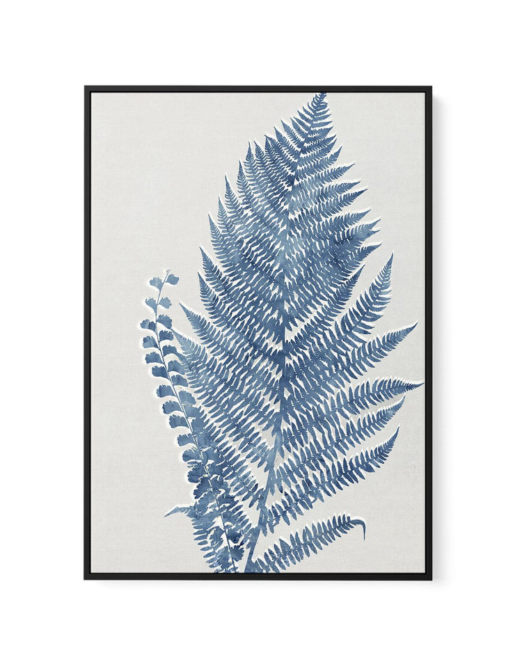 Fern I | Framed Canvas-CANVAS-You can shop wall art online with CANVAS Art Print Co for everything from abstract art to fun kids wall art. Our beautiful modern art prints and canvas art are available from large canvas prints to wall art paintings and our proudly Australian artwork collection offers only the highest quality framed large wall art and canvas art Australia - You can buy fashion photography prints or Hampton print posters and paintings on canvas from CANVAS Art Print Co and have them delivered
