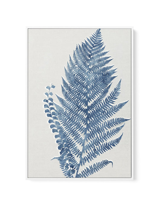 Fern I | Framed Canvas-CANVAS-You can shop wall art online with CANVAS Art Print Co for everything from abstract art to fun kids wall art. Our beautiful modern art prints and canvas art are available from large canvas prints to wall art paintings and our proudly Australian artwork collection offers only the highest quality framed large wall art and canvas art Australia - You can buy fashion photography prints or Hampton print posters and paintings on canvas from CANVAS Art Print Co and have them delivered