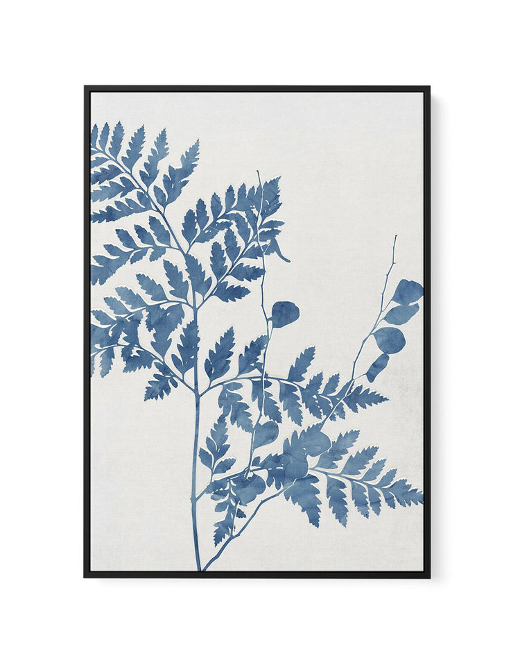 Fern II | Framed Canvas-CANVAS-You can shop wall art online with CANVAS Art Print Co for everything from abstract art to fun kids wall art. Our beautiful modern art prints and canvas art are available from large canvas prints to wall art paintings and our proudly Australian artwork collection offers only the highest quality framed large wall art and canvas art Australia - You can buy fashion photography prints or Hampton print posters and paintings on canvas from CANVAS Art Print Co and have them delivere