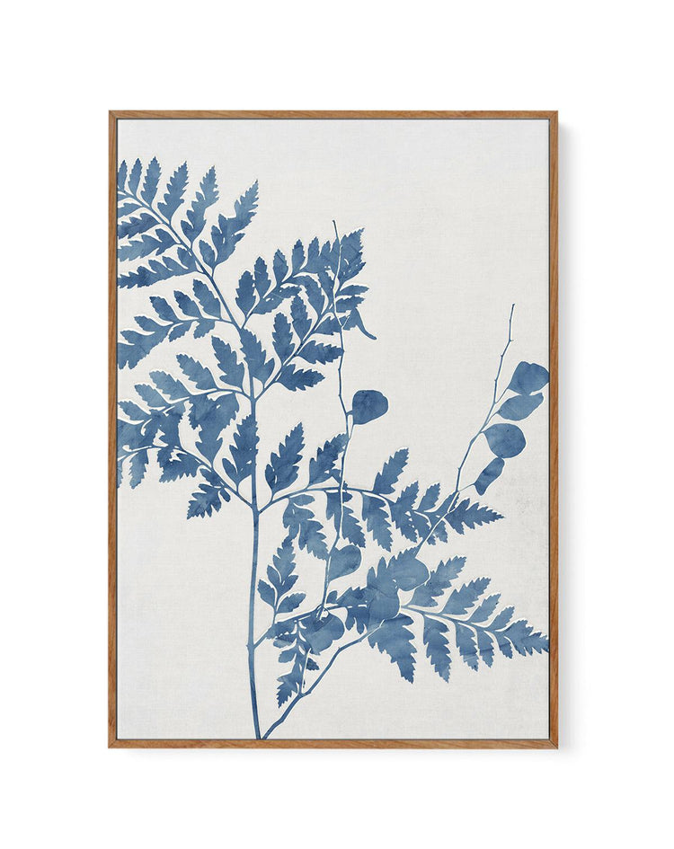 Fern II | Framed Canvas-CANVAS-You can shop wall art online with CANVAS Art Print Co for everything from abstract art to fun kids wall art. Our beautiful modern art prints and canvas art are available from large canvas prints to wall art paintings and our proudly Australian artwork collection offers only the highest quality framed large wall art and canvas art Australia - You can buy fashion photography prints or Hampton print posters and paintings on canvas from CANVAS Art Print Co and have them delivere