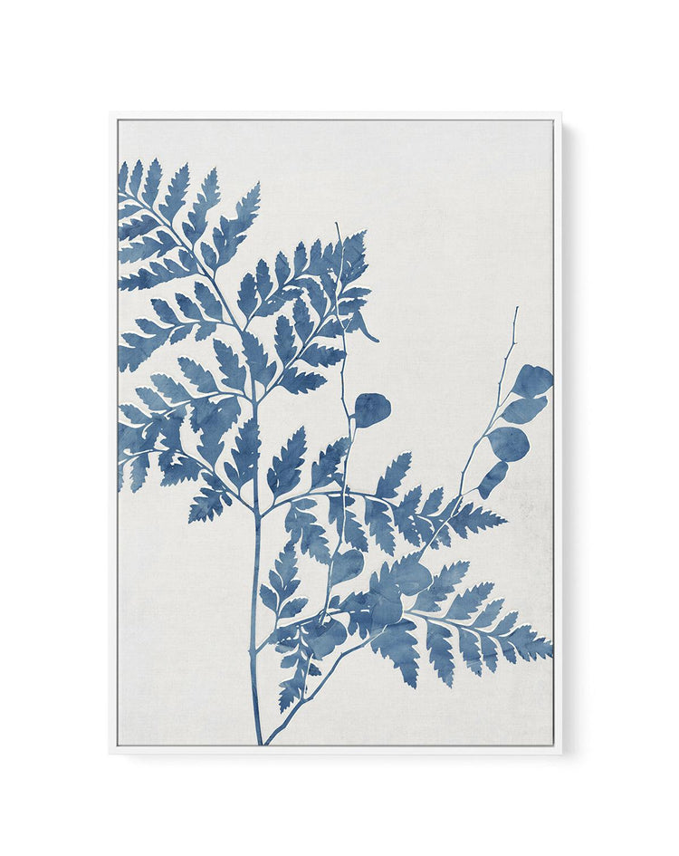 Fern II | Framed Canvas-CANVAS-You can shop wall art online with CANVAS Art Print Co for everything from abstract art to fun kids wall art. Our beautiful modern art prints and canvas art are available from large canvas prints to wall art paintings and our proudly Australian artwork collection offers only the highest quality framed large wall art and canvas art Australia - You can buy fashion photography prints or Hampton print posters and paintings on canvas from CANVAS Art Print Co and have them delivere