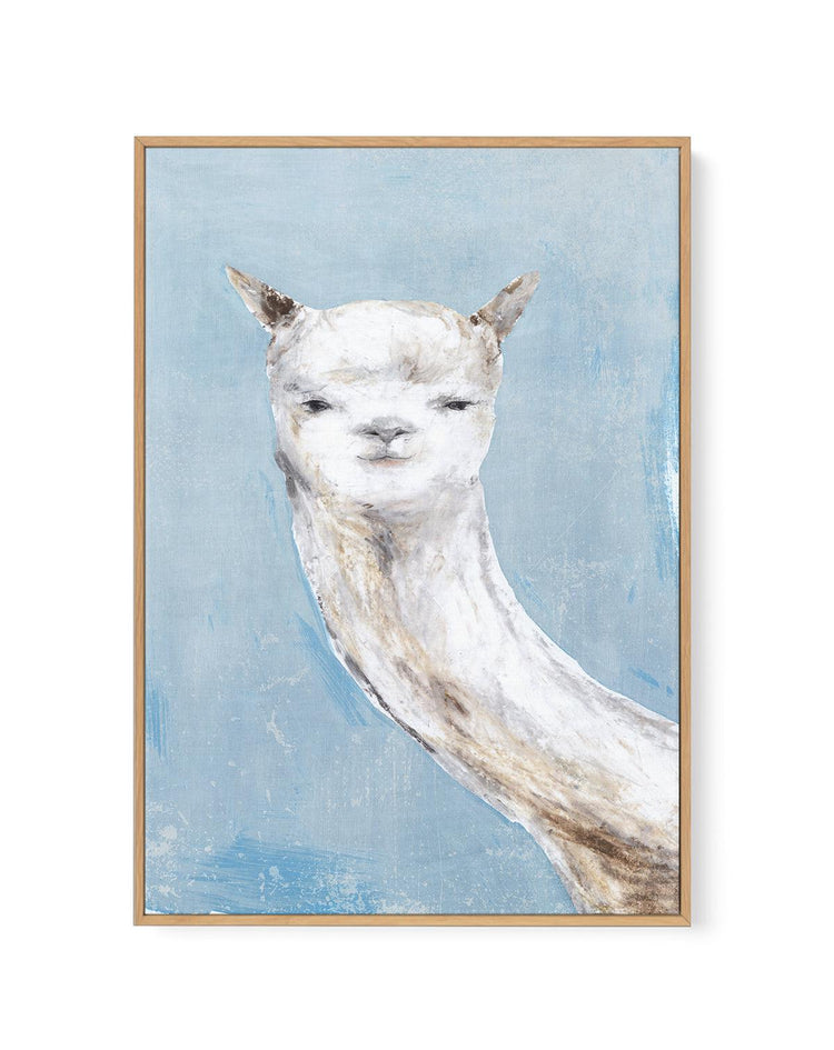 Llama on Blue I | Framed Canvas-CANVAS-You can shop wall art online with CANVAS Art Print Co for everything from abstract art to fun kids wall art. Our beautiful modern art prints and canvas art are available from large canvas prints to wall art paintings and our proudly Australian artwork collection offers only the highest quality framed large wall art and canvas art Australia - You can buy fashion photography prints or Hampton print posters and paintings on canvas from CANVAS Art Print Co and have them
