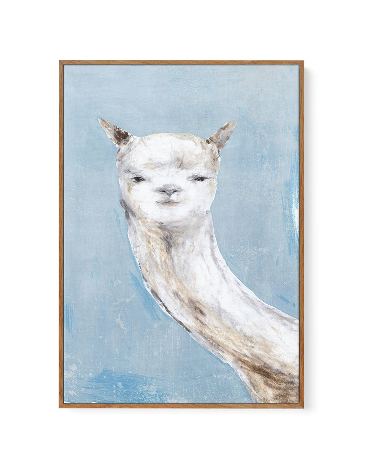 Llama on Blue I | Framed Canvas-CANVAS-You can shop wall art online with CANVAS Art Print Co for everything from abstract art to fun kids wall art. Our beautiful modern art prints and canvas art are available from large canvas prints to wall art paintings and our proudly Australian artwork collection offers only the highest quality framed large wall art and canvas art Australia - You can buy fashion photography prints or Hampton print posters and paintings on canvas from CANVAS Art Print Co and have them