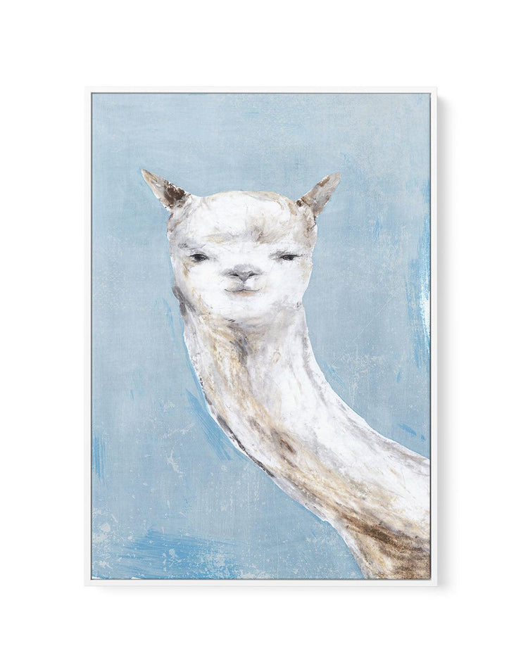 Llama on Blue I | Framed Canvas-CANVAS-You can shop wall art online with CANVAS Art Print Co for everything from abstract art to fun kids wall art. Our beautiful modern art prints and canvas art are available from large canvas prints to wall art paintings and our proudly Australian artwork collection offers only the highest quality framed large wall art and canvas art Australia - You can buy fashion photography prints or Hampton print posters and paintings on canvas from CANVAS Art Print Co and have them