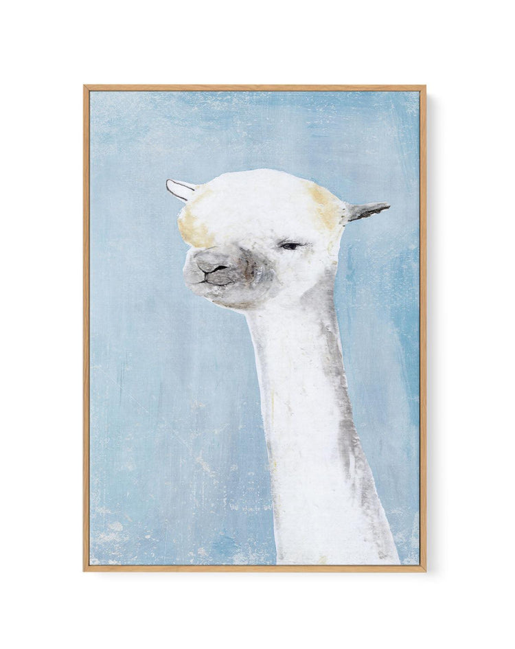 Llama on Blue II | Framed Canvas-CANVAS-You can shop wall art online with CANVAS Art Print Co for everything from abstract art to fun kids wall art. Our beautiful modern art prints and canvas art are available from large canvas prints to wall art paintings and our proudly Australian artwork collection offers only the highest quality framed large wall art and canvas art Australia - You can buy fashion photography prints or Hampton print posters and paintings on canvas from CANVAS Art Print Co and have them