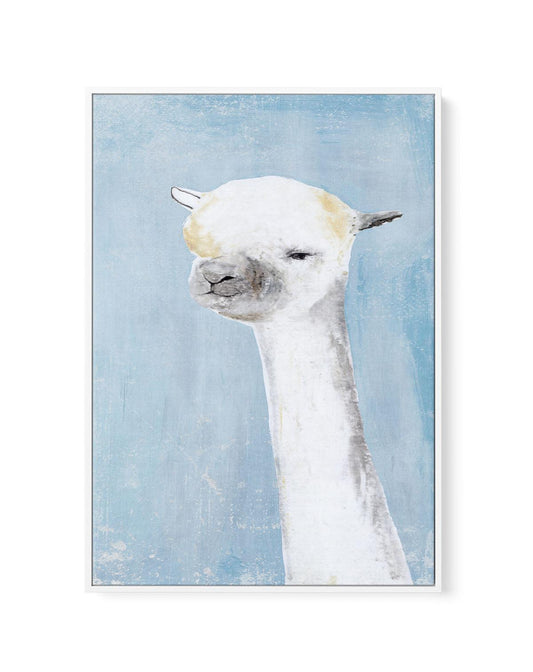 Llama on Blue II | Framed Canvas-CANVAS-You can shop wall art online with CANVAS Art Print Co for everything from abstract art to fun kids wall art. Our beautiful modern art prints and canvas art are available from large canvas prints to wall art paintings and our proudly Australian artwork collection offers only the highest quality framed large wall art and canvas art Australia - You can buy fashion photography prints or Hampton print posters and paintings on canvas from CANVAS Art Print Co and have them
