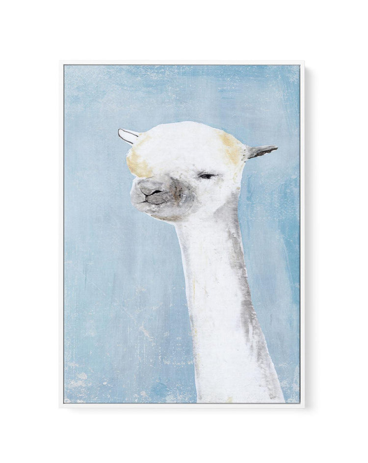 Llama on Blue II | Framed Canvas-CANVAS-You can shop wall art online with CANVAS Art Print Co for everything from abstract art to fun kids wall art. Our beautiful modern art prints and canvas art are available from large canvas prints to wall art paintings and our proudly Australian artwork collection offers only the highest quality framed large wall art and canvas art Australia - You can buy fashion photography prints or Hampton print posters and paintings on canvas from CANVAS Art Print Co and have them