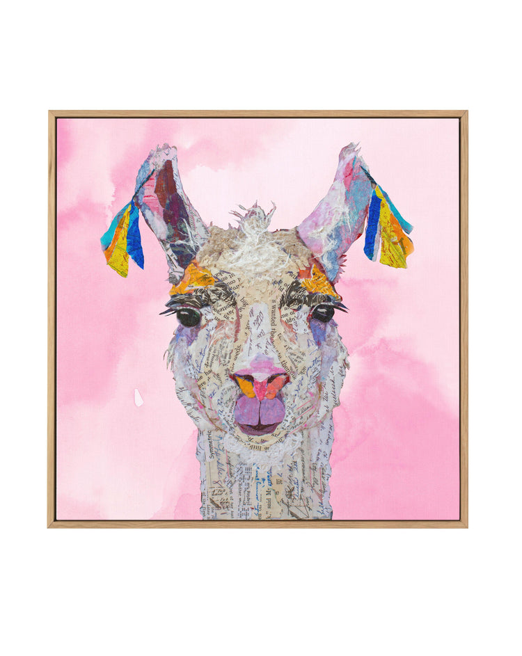 Llama Read About It | Framed Canvas-CANVAS-You can shop wall art online with CANVAS Art Print Co for everything from abstract art to fun kids wall art. Our beautiful modern art prints and canvas art are available from large canvas prints to wall art paintings and our proudly Australian artwork collection offers only the highest quality framed large wall art and canvas art Australia - You can buy fashion photography prints or Hampton print posters and paintings on canvas from CANVAS Art Print Co and have t