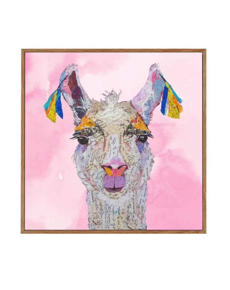 Llama Read About It | Framed Canvas-CANVAS-You can shop wall art online with CANVAS Art Print Co for everything from abstract art to fun kids wall art. Our beautiful modern art prints and canvas art are available from large canvas prints to wall art paintings and our proudly Australian artwork collection offers only the highest quality framed large wall art and canvas art Australia - You can buy fashion photography prints or Hampton print posters and paintings on canvas from CANVAS Art Print Co and have t