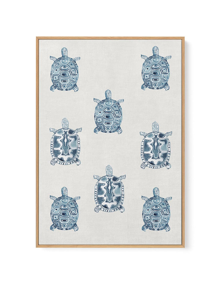 Marine Study 'Turtle' | Framed Canvas-CANVAS-You can shop wall art online with CANVAS Art Print Co for everything from abstract art to fun kids wall art. Our beautiful modern art prints and canvas art are available from large canvas prints to wall art paintings and our proudly Australian artwork collection offers only the highest quality framed large wall art and canvas art Australia - You can buy fashion photography prints or Hampton print posters and paintings on canvas from CANVAS Art Print Co and have