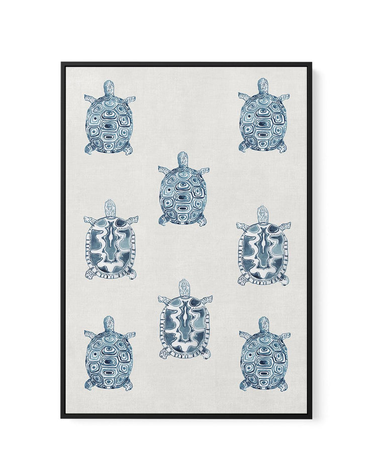 Marine Study 'Turtle' | Framed Canvas-CANVAS-You can shop wall art online with CANVAS Art Print Co for everything from abstract art to fun kids wall art. Our beautiful modern art prints and canvas art are available from large canvas prints to wall art paintings and our proudly Australian artwork collection offers only the highest quality framed large wall art and canvas art Australia - You can buy fashion photography prints or Hampton print posters and paintings on canvas from CANVAS Art Print Co and have
