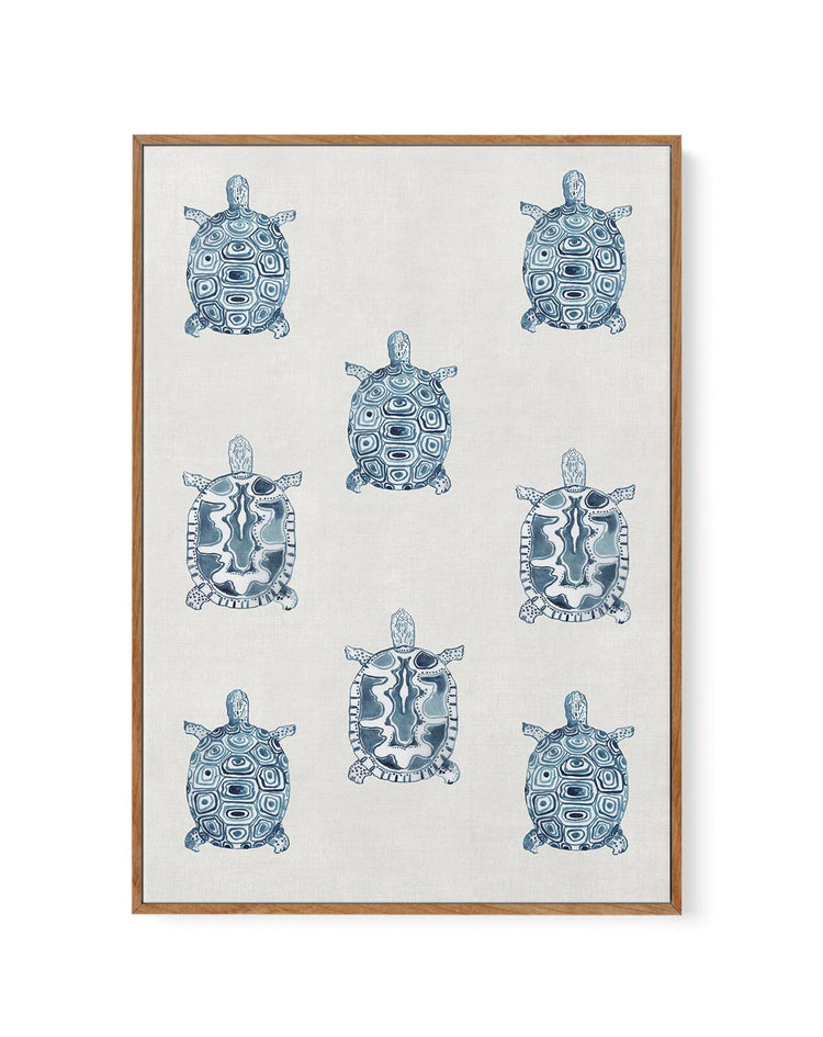 Marine Study 'Turtle' | Framed Canvas-CANVAS-You can shop wall art online with CANVAS Art Print Co for everything from abstract art to fun kids wall art. Our beautiful modern art prints and canvas art are available from large canvas prints to wall art paintings and our proudly Australian artwork collection offers only the highest quality framed large wall art and canvas art Australia - You can buy fashion photography prints or Hampton print posters and paintings on canvas from CANVAS Art Print Co and have