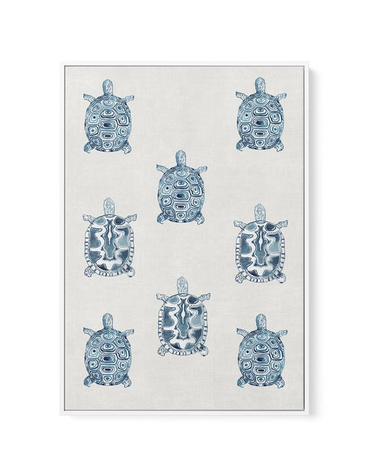 Marine Study 'Turtle' | Framed Canvas-CANVAS-You can shop wall art online with CANVAS Art Print Co for everything from abstract art to fun kids wall art. Our beautiful modern art prints and canvas art are available from large canvas prints to wall art paintings and our proudly Australian artwork collection offers only the highest quality framed large wall art and canvas art Australia - You can buy fashion photography prints or Hampton print posters and paintings on canvas from CANVAS Art Print Co and have