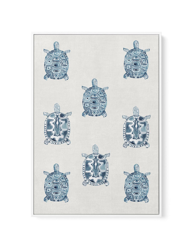 Marine Study 'Turtle' | Framed Canvas-CANVAS-You can shop wall art online with CANVAS Art Print Co for everything from abstract art to fun kids wall art. Our beautiful modern art prints and canvas art are available from large canvas prints to wall art paintings and our proudly Australian artwork collection offers only the highest quality framed large wall art and canvas art Australia - You can buy fashion photography prints or Hampton print posters and paintings on canvas from CANVAS Art Print Co and have