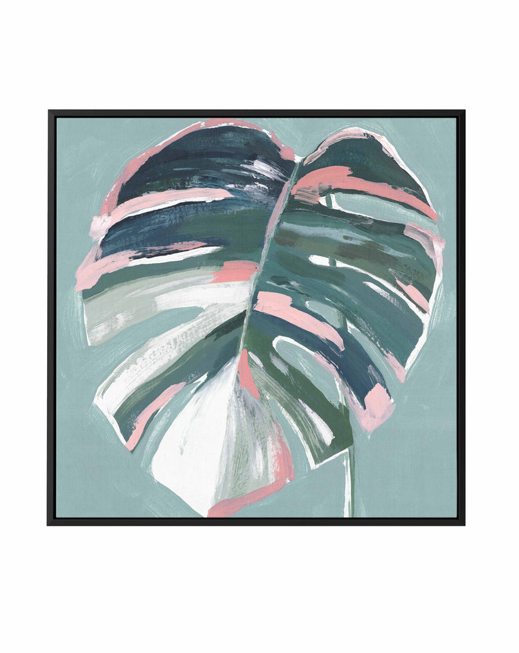 Monstera I SQ Framed Canvas-CANVAS-You can shop wall art online with CANVAS Art Print Co for everything from abstract art to fun kids wall art. Our beautiful modern art prints and canvas art are available from large canvas prints to wall art paintings and our proudly Australian artwork collection offers only the highest quality framed large wall art and canvas art Australia - You can buy fashion photography prints or Hampton print posters and paintings on canvas from CANVAS Art Print Co and have them deli